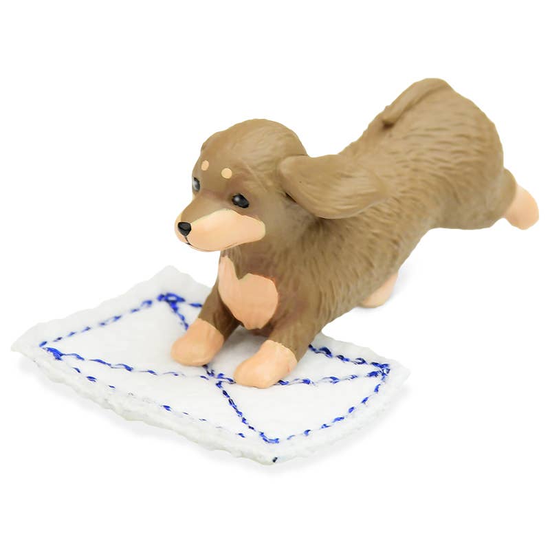 【JAPANESE BIND BOX】FLOOR SCRUBBING DUTY – ALL FOR ONE!