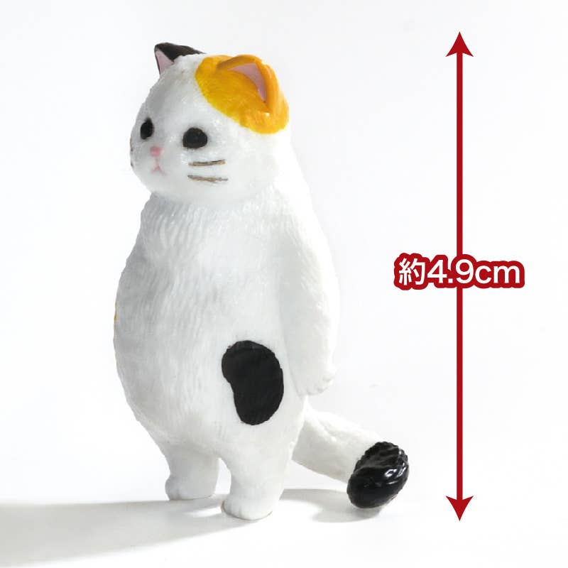 【JAPANESE BLIND BOX】FEEL NOTHING