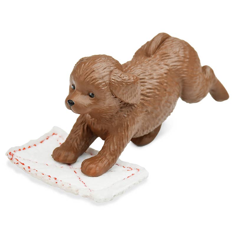 【JAPANESE BIND BOX】FLOOR SCRUBBING DUTY – ALL FOR ONE!